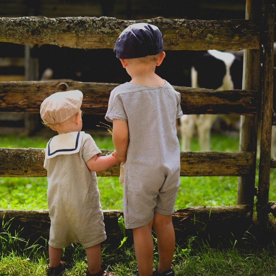 Barn som kollar pa djur Gammelvala