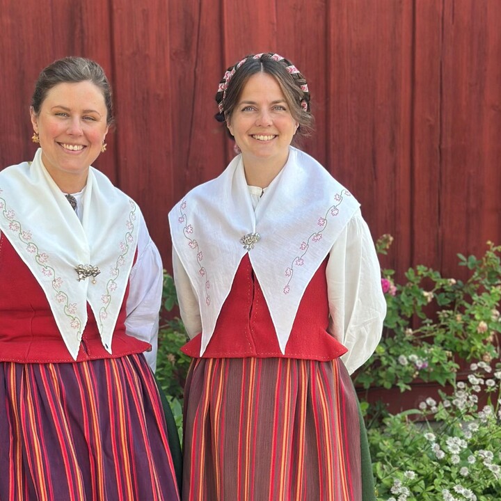 Brunskogsdr&auml;kten